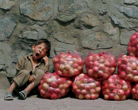 vendeurs pommes